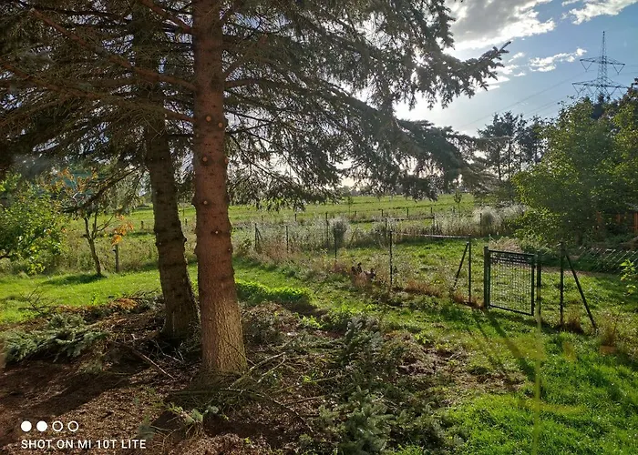 Landperle Klein Und Fein Apartamento